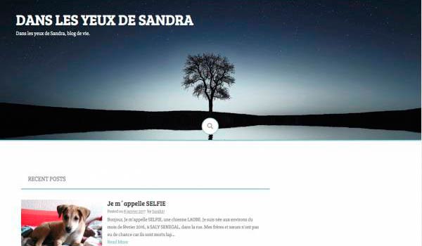 Dans les yeux de Sarah